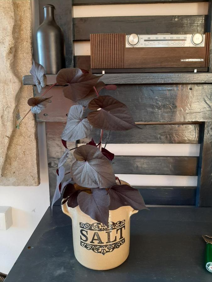 Villongo SantʼAlessandro B&B La Fenice Sul Lago מראה חיצוני תמונה